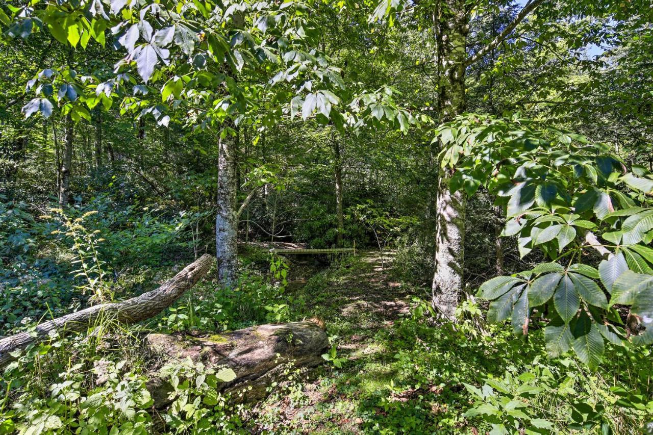 Dog-Friendly Cabin, 9 Mi To Sugar Mountain Resort 배너 앨크 외부 사진